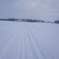 Hartvíkov