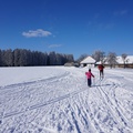 Hartvíkov
