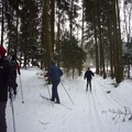Olšiny